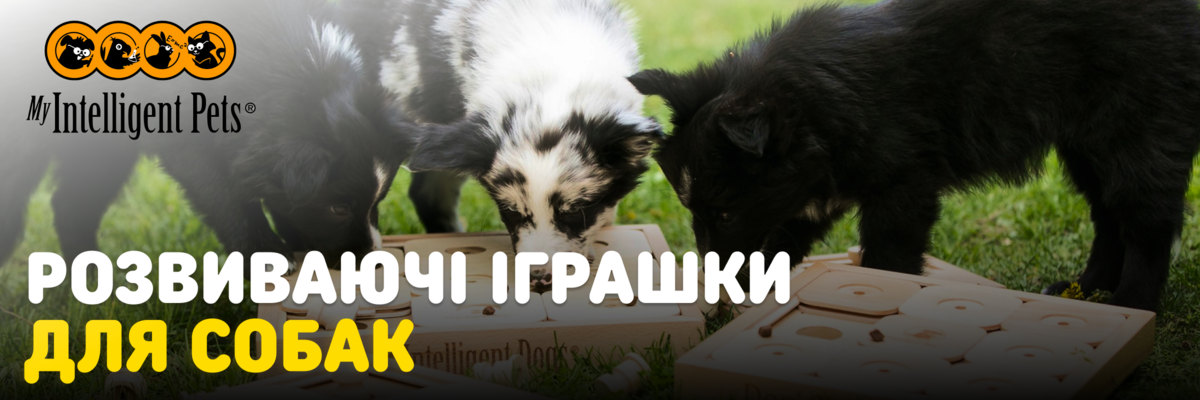 MY INTELLIGENT PETS: Огляд на розвиваючі іграшки для собак фото