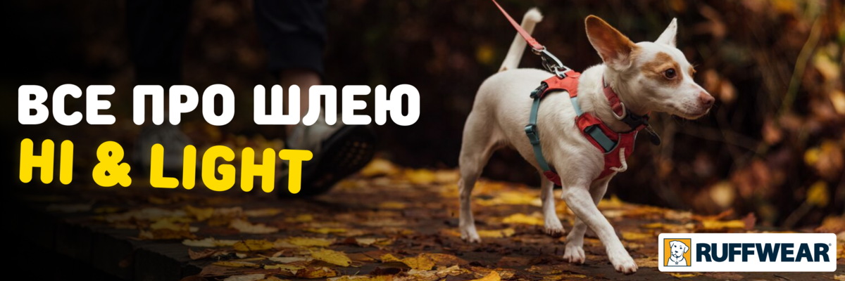 Ruffwear: Встречайте шлейку Hi & Light фото