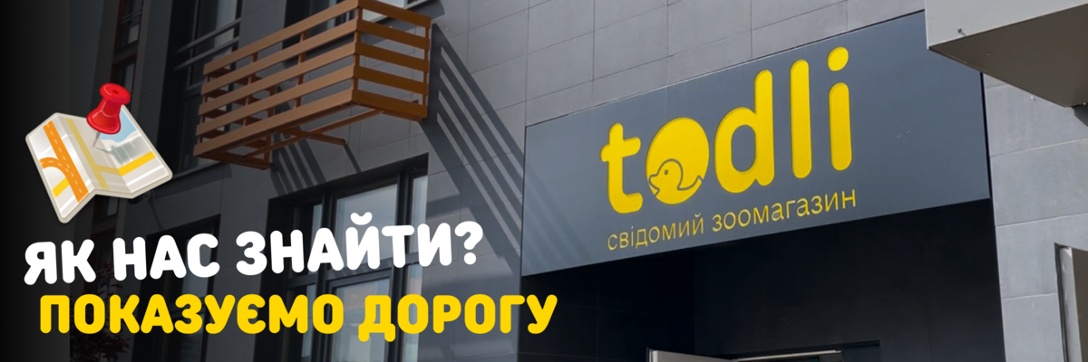 Як дістатися Todli: показуємо основні маршрути фото