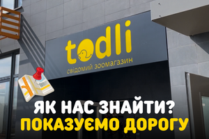 Як дістатися Todli: показуємо основні маршрути фото