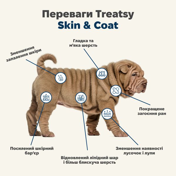 Вітамінний комплекс для вовни та шкіри собак Treatsy Skin & Coat 180 г 60 шт 32743 фото, зображення