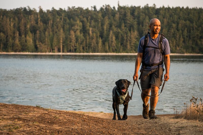 Повседневная шлейка для собак Ruffwear Front Range® XS 43-56 см Зеленый 30797 фото, изображение