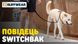 Повідець перестібка для собак Ruffwear Switchbak™ Синій 30948 фото 7 зображення