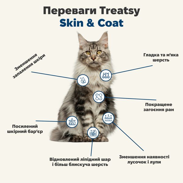 Функціональна олія для вовни та шкіри собак і кішок Treatsy Skin & Coat 250 мл 32746 фото, зображення