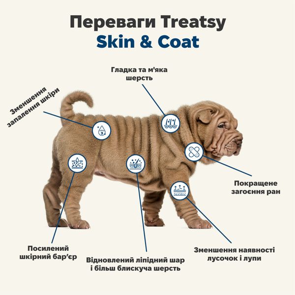 Функциональное масло для шерсти и кожи собак и кошек Treatsy Skin & Coat 250 мл 32746 фото, изображение