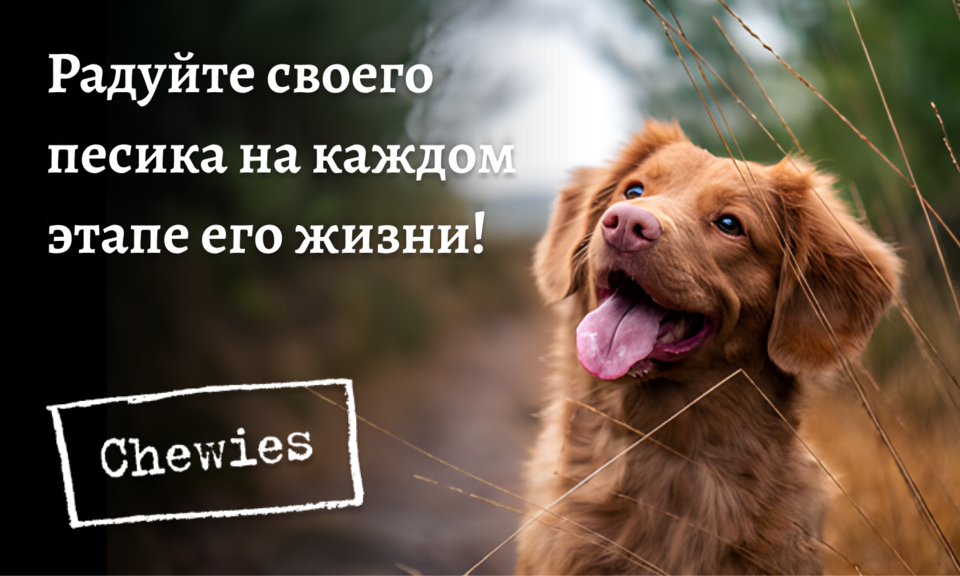 2 линия (chewies)