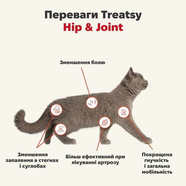 Функциональное масло для мышц и связок собак и кошек Treatsy Hip & Joint 250 мл 32747 фото, изображение