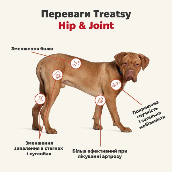 Функціональна олія для м'язів та зв'язок собак і кішок Treatsy Hip & Joint 250 мл 32747 фото, зображення