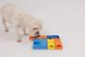 Розвиваюча іграшка конструктор для собак Pawzler Rainbow Set Mini 30216 фото 3 зображення