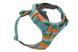 Повсякденна шлейка для собак Ruffwear Front Range XXS 33-43 см Бірюзово-оранжевий 30801 фото 2 зображення