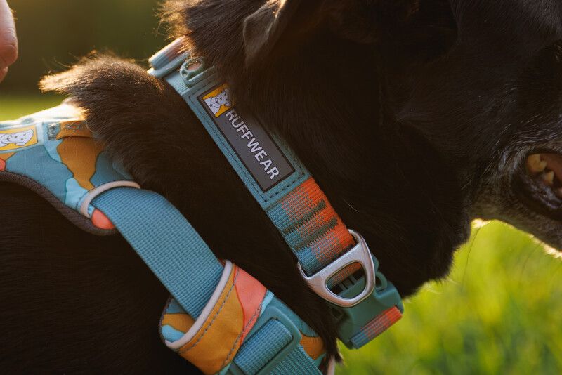 Повседневная шлейка для собак Ruffwear Front Range® XXS 33-43 см Бирюзово-оранжевый 30801 фото, изображение