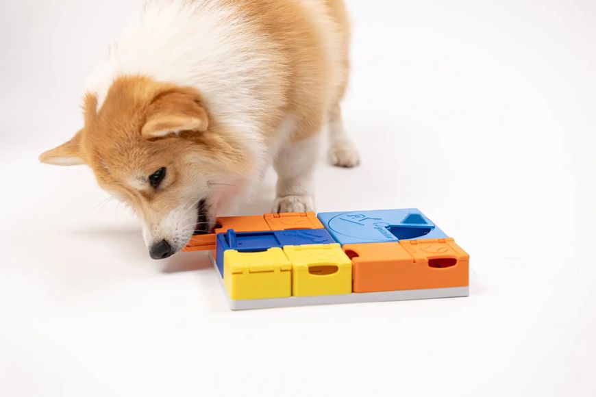 Розвиваюча іграшка конструктор для собак Pawzler Rainbow Set Mini 30216 фото, зображення
