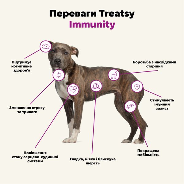 Функциональное масло для иммунитета собак и кошек Treatsy Immunity 250 мл 32748 фото, изображение