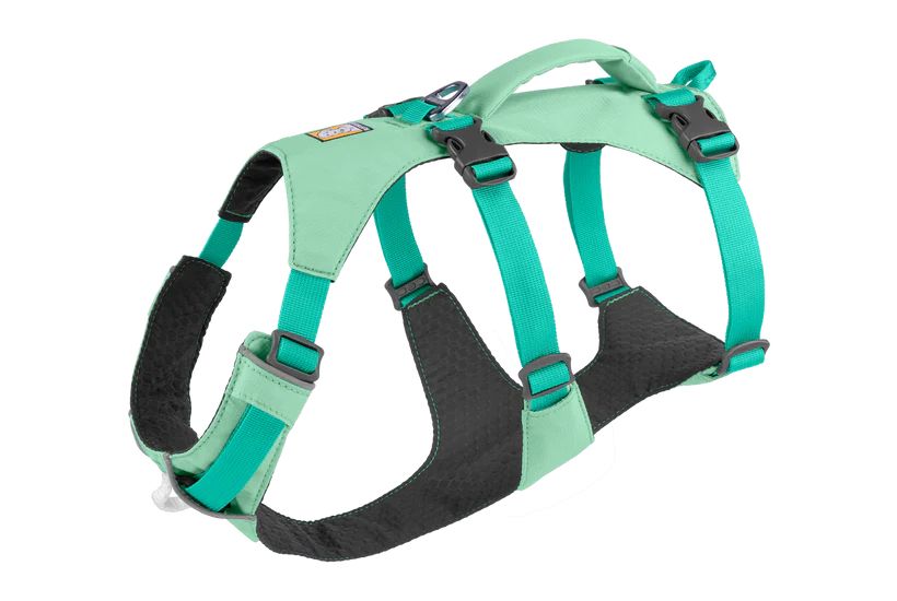 Легка шлейка для собак Ruffwear Flagline™ XS 43-56 см Зелений 30762 фото, зображення