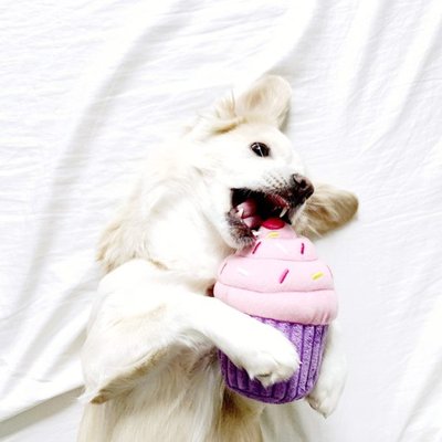 М'яка іграшка для собак кекс ZippyPaws Cupcake Pink з пищалкою 28468 фото, зображення