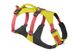 Легкая шлейка для собак Ruffwear Flagline™ XXS 33-43 см Желтый 30756 фото 1 изображение