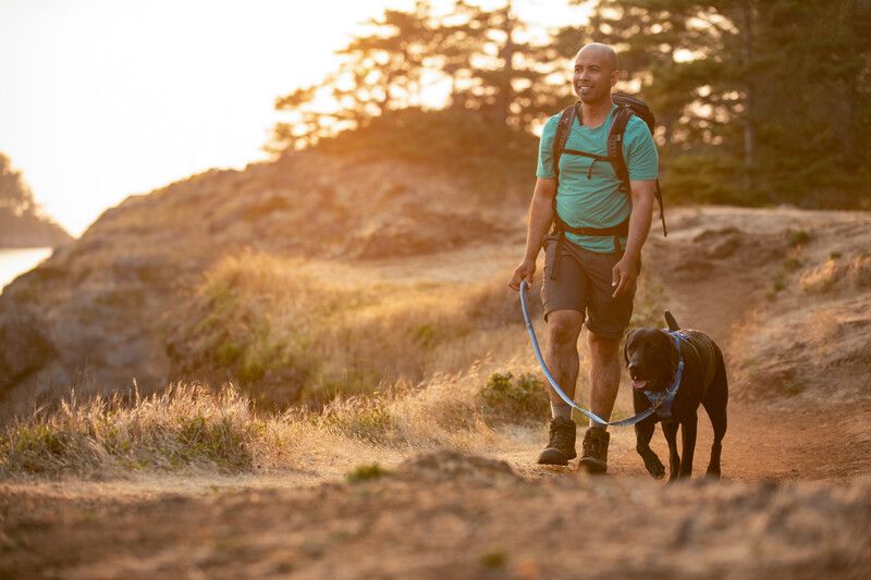 Повсякденний повідець для собак Ruffwear Front Range™ Блакитно-синій 30906 фото, зображення