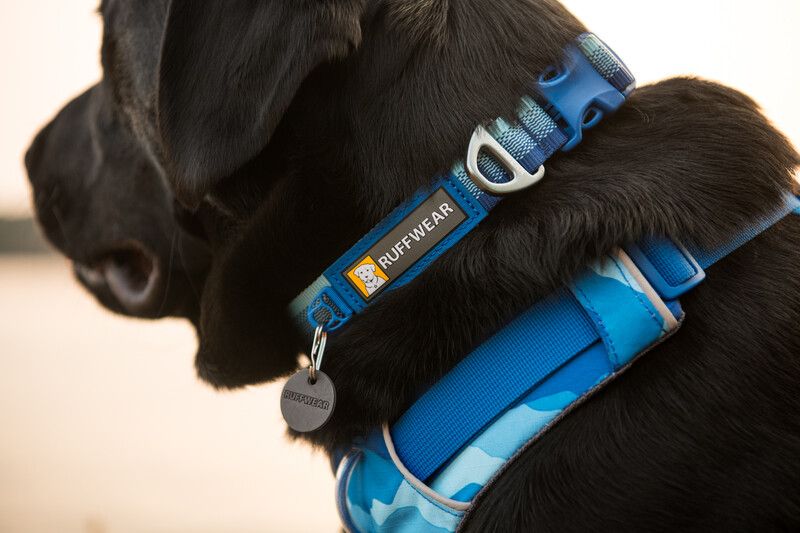 Повсякденний повідець для собак Ruffwear Front Range™ Блакитно-синій 30906 фото, зображення