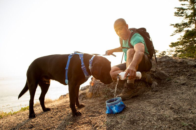 Повсякденний повідець для собак Ruffwear Front Range™ Блакитно-синій 30906 фото, зображення