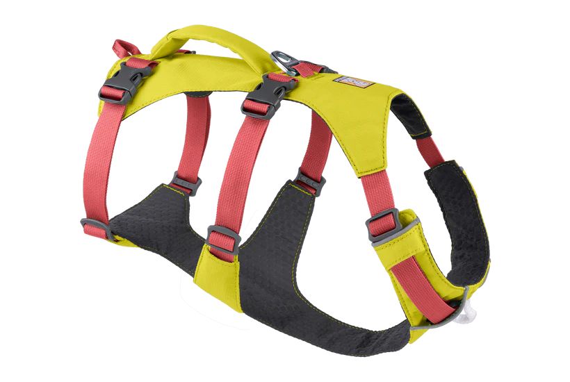 Легкая шлейка для собак Ruffwear Flagline™ XXS 33-43 см Желтый 30756 фото, изображение