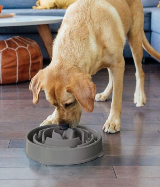 Миска-лабиринт для собак Outward Hound Fun Feeder Drop серый L 26809 фото, изображение