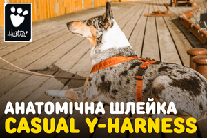 HURTTA: Анатомічна шлея для собак Casual Y-Harness фото