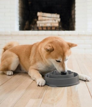 Миска-лабіринт для собак Outward Hound Fun Feeder Drop сірий M 26811 фото, зображення