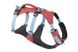 Легка шлейка для собак Ruffwear Flagline™ XS 43-56 см Рожевий 30767 фото 1 зображення