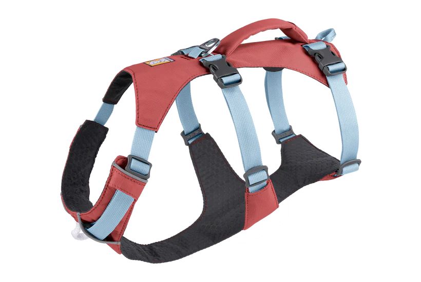 Легкая шлейка для собак Ruffwear Flagline™ XS 43-56 см Розовый 30767 фото, изображение