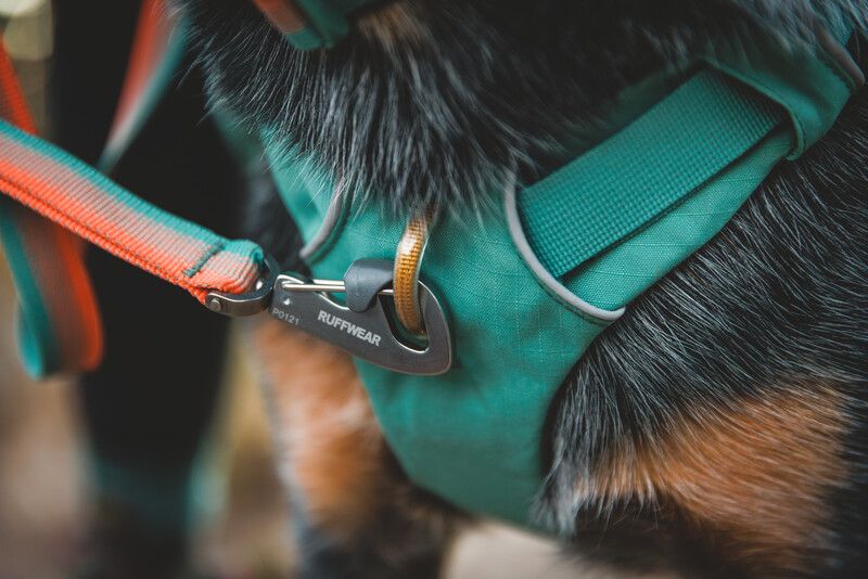 Повсякденний повідець для собак Ruffwear Front Range™ Оранжево-сірий 30910 фото, зображення