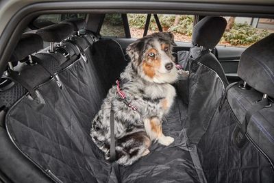 Чохол автогамак для собак на заднє сидіння Wolters Car Pet Backseat Cover 30172 фото, зображення