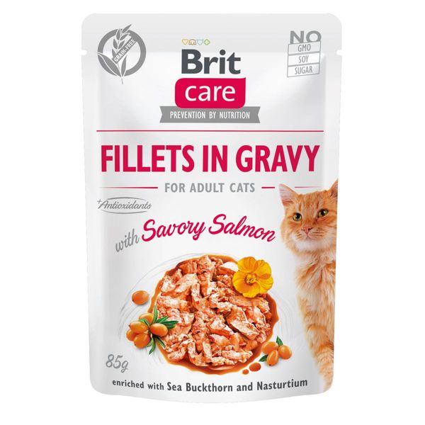 Влажный корм Brit Care Cat Pouch для кошек, филе в соусе, пикантный лосось, 85 г 28672 фото, изображение