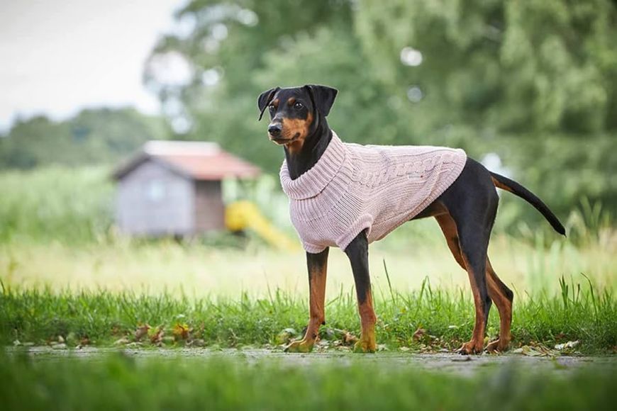 В'язаний светр для собаки Wolters Cable Knit з візерунком коси 25 см Рожевий 29585 фото, зображення