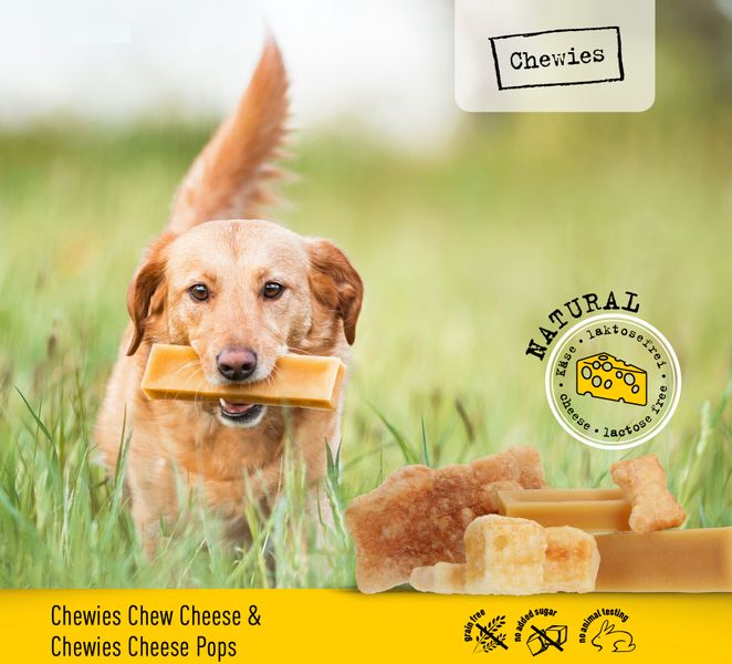 Сирні кульки для собак хрусткі сушені Chewies Toy-Pops Käse Natural 30 г 28445 фото, зображення