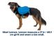 Шлейка-рюкзак для собак Ruffwear Approach™ XS Синій 30969 фото 2 зображення