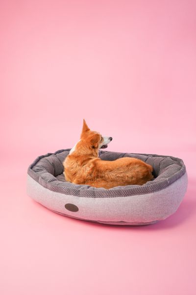 Овальний лежак Harley and Cho Donut Soft Touch серый L 29339 фото, изображение