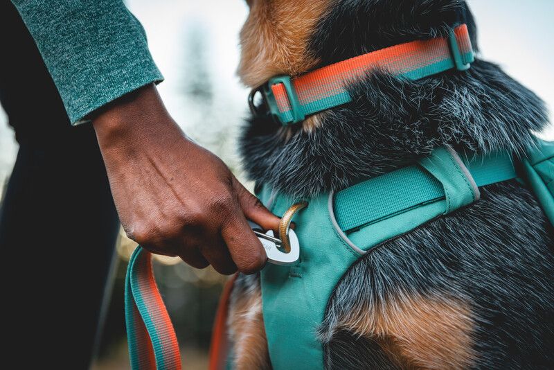 Повседневный ошейник для собак Ruffwear Front Range™ 28-36 см Оранжево-серый 30671 фото, изображение