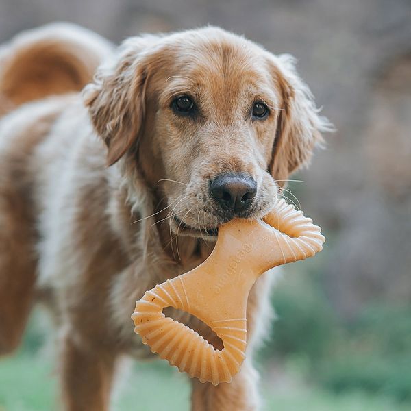 Жувальні іграшки для собак Benebone Dental Chew Bacon L бекон 27962 фото, зображення