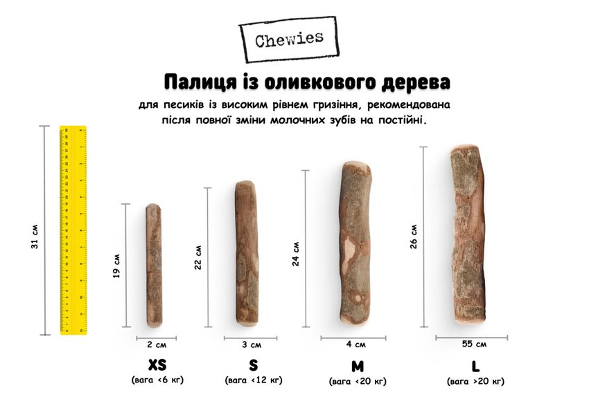 Оливковая палочка-погрызушка для собак Chewies XS, жесткое грызение 27854 фото, изображение