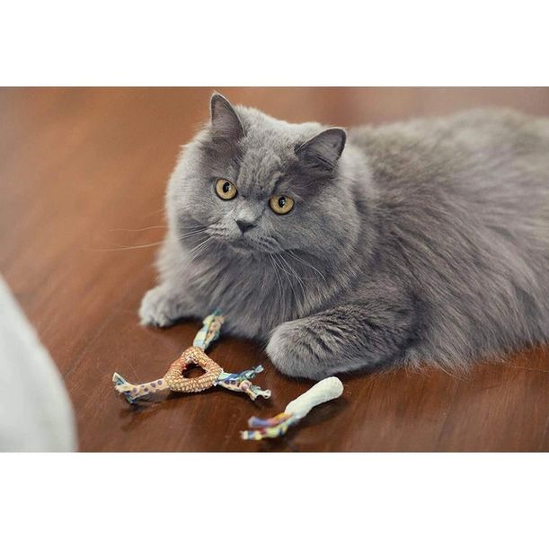 Іграшка для котів Petstages Catnip Dental Health Chew для зубів з котячою м'ятою 32002 фото, зображення