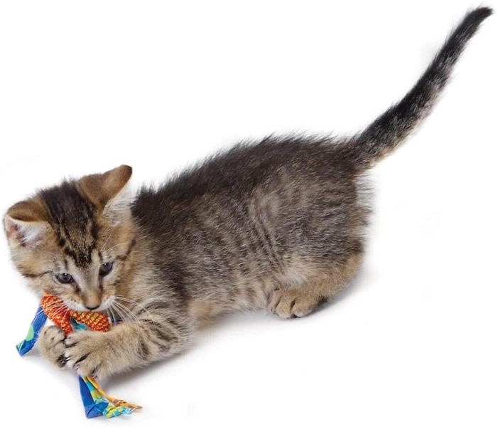 Іграшка для котів Petstages Catnip Dental Health Chew для зубів з котячою м'ятою 32002 фото, зображення