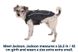 Куртка для собак Ruffwear Overcoat Fuse™ XXS Серый 30425 фото 2 изображение