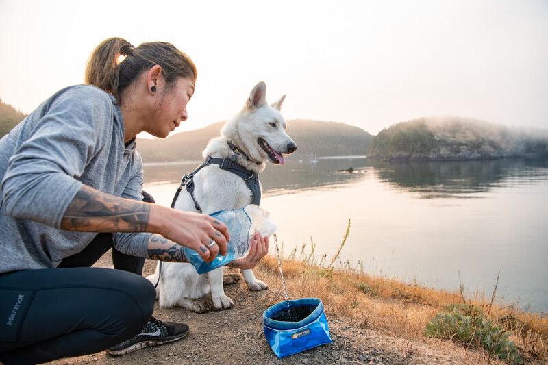 Складна миска для собак Ruffwear Quencher™ M Синьо-блакитний 30625 фото, зображення