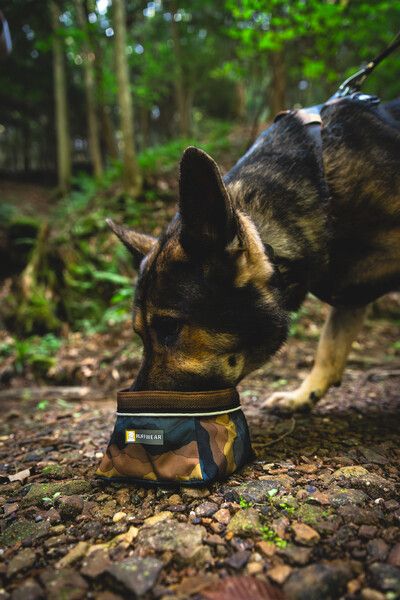 Складна миска для собак Ruffwear Quencher™ M Сіро-коричневий 30626 фото, зображення