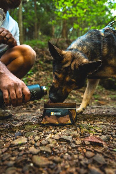 Складная миска для собак Ruffwear Quencher™ M Серо-коричневый 30626 фото, изображение