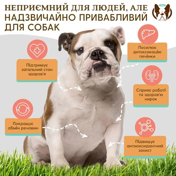 Вітамінний комплекс для печінки та нирок Liver & Kidney Supplement Natural Dog Company, 90шт в банці 32723 фото, зображення