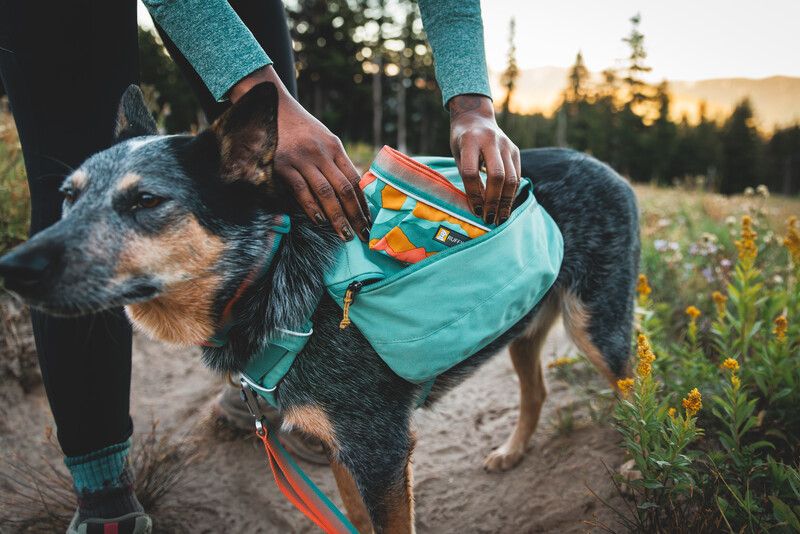 Складна миска для собак Ruffwear Quencher™ M Бірюзово-жовтогарячий 30627 фото, зображення