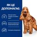 Лечебный сухой корм для собак Hills PD Canine Z/D для чувствительного пищеварения 3 кг 29519 фото 3 изображение