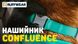 Водостійкий нашийник для собак Ruffwear Confluence™ 36-51 см Бірюзовий 30629 фото 9 зображення