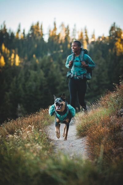 Шлейка-рюкзак для собаки Ruffwear Front Range™ XS Зеленый 30981 фото, изображение